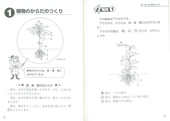 楽天ブックス 新 勉強のコツ シリーズ 小学校の 理科 を良問ベスト60で完全攻略 向山洋一 本 楽天ブックス 新 勉強のコツ シリーズ 小学校の 理科 を良問ベスト60で完全攻略 向山洋一 本